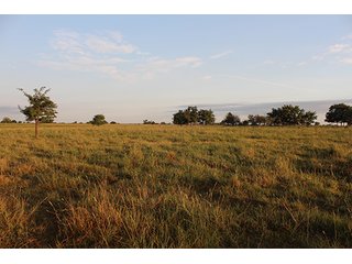 Tract 4 - LAND AUCTION - 440+/- Acres offered in 15 Tracts in Tulsa County